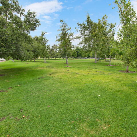 371 N Saguaro Drive Listing Image Thumbnail #25